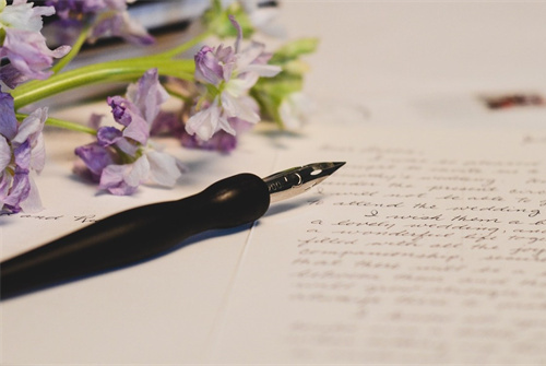 老舍駱駝祥子讀書筆記